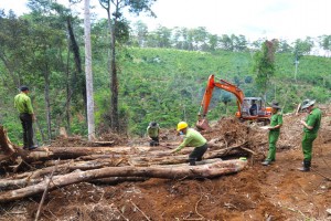 Thêm gần 2 ha rừng bị tàn phá tại Lâm Đồng