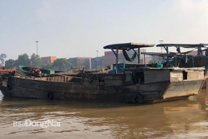Bắt giữ 3 phương tiện khai thác, vận chuyển cát trái phép trên sông Đồng Nai
